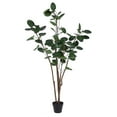 thumbnail image 1 of SAFAVIEH Faux 59 Inch Polyscias Potted Tree, Black, 1 of 5