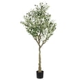 thumbnail image 1 of SAFAVIEH Faux Olive 60" Potted Tree, Green, 1 of 6