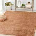 thumbnail image 1 of Safavieh Faux Rabbit Fur Davin Solid Machine Washable Slip Resistant Area Rug, Brown, 6' x 9', 1 of 12