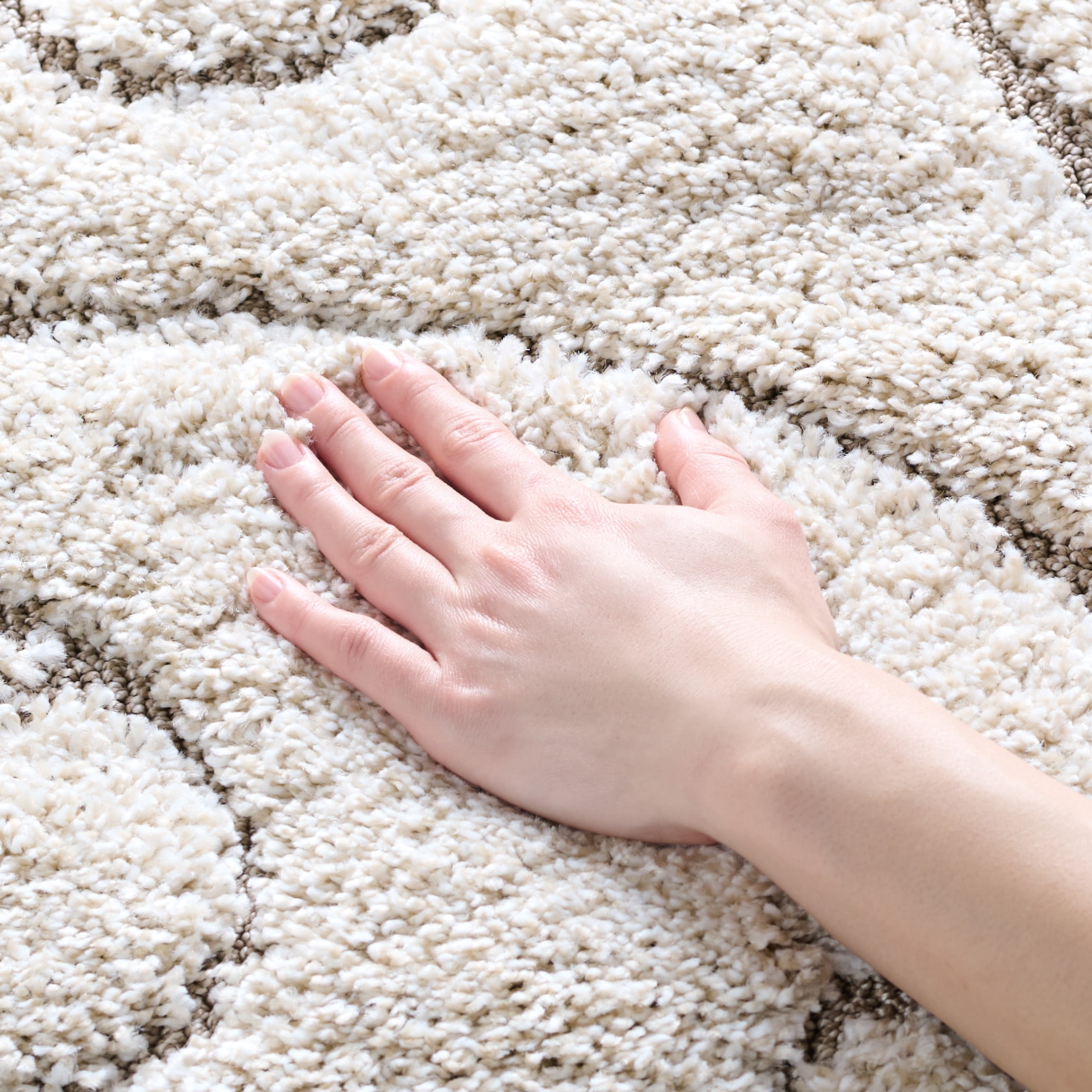 SAFAVIEH Florida Doug Floral Vines Geometric Shag Area Rug, Cream/Beige, 3'3" x 5'3" - Transitional Modern Design, Cream & Beige, Non-Shedding & Easy Cleaning, Ultra Plush Thick Pile, Ideal for Livin