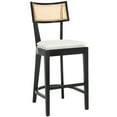 thumbnail image 1 of SAFAVIEH Galway Modern 42" Cane Counter Stool, Black/Natural, 1 of 1