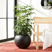 SAFAVIEH Gerand Concrete Modern Solid Round Patio Planter, Black