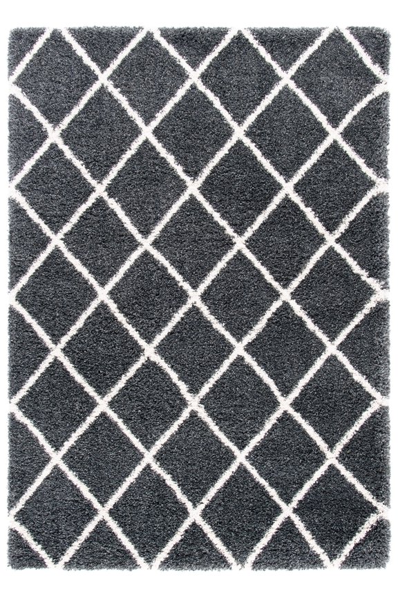 Hudson Shag Jackson Trellis Area Rug, Dark Grey/Ivory, 8' x 10'