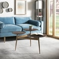 thumbnail image 1 of SAFAVIEH Ian 3 Circle Contemporary Retro Accent Table, Rustic Honey/Gold, 1 of 7