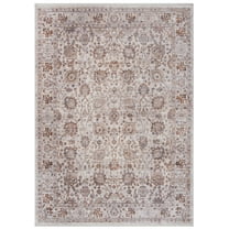 SAFAVIEH Illusion Phylliss Oriental Area Rug, Cream/Light Brown, 8' x 10'