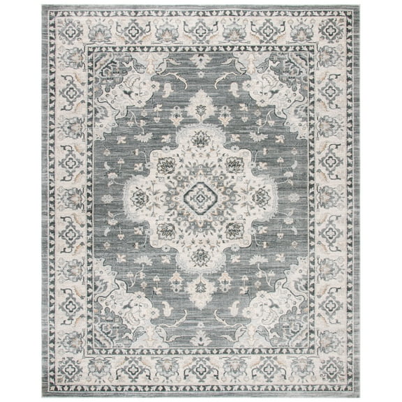 SAFAVIEH Isabella Janae Oriental Area Rug, Grey/Light Grey, 8' x 10'
