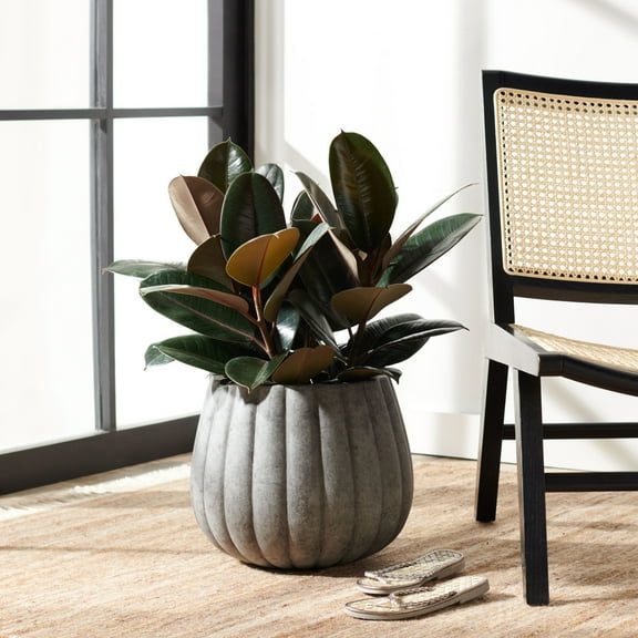 SAFAVIEH Kaston Concrete Modern Solid Round Patio Planter, Grey