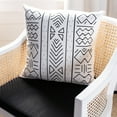 thumbnail image 1 of SAFAVIEH Kerra 18" x 18" Southwestern Plush Pillow, Black/White, 1 of 5