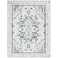 thumbnail image 1 of SAFAVIEH Layla Jerri Oriental Area Rug, Ivory Grey/Charcoal, 8' x 10', 1 of 8