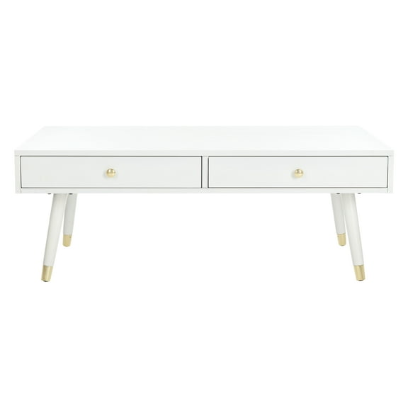 SAFAVIEH Levinson 2-Drawer Rustic Gold Cap Coffee Table, White