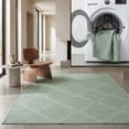 thumbnail image 1 of SAFAVIEH Machine Washable Rug Indoor/Outdoor Bermuda Collection - Bermuda Travis Diamond Indoor/Outdoor Area Rug, Green/Ivory, 8' x 10', 1 of 13