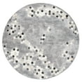 thumbnail image 1 of SAFAVIEH Manhattan Atanas Abstract Area Rug, Grey/Ivory, 6' x 6' Round, 1 of 7
