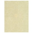 thumbnail image 1 of SAFAVIEH Martha Stewart Teraza Stucco Geometric Cotton Area Rug, Stucco, 8'6" x 11'6", 1 of 4