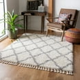 thumbnail image 1 of Safavieh Moroccan Tassel Tangier Geometric Shag Area Rug, Ivory/Light Gray, 8' x 10', 1 of 10