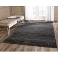 thumbnail image 1 of SAFAVIEH Palazzo Collection PAL129-56C6 Black / Grey Rug, 1 of 6