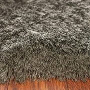 SAFAVIEH Paris Darwin Plush Polyester Shag Area Rug, Titanium, 4' x 6'