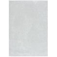 thumbnail image 1 of SAFAVIEH Parker Lauressa Abstract Area Rug, Gray/Light Gray, 4' x 6', 1 of 6