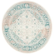 SAFAVIEH Passion Collection PAS405B Turquoise / Ivory Rug