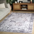 thumbnail image 1 of SAFAVIEH Arizona Rhine Oriental Machine Washable Area Rug, Beige/Gray, 5' x 7', 1 of 12