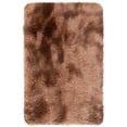 thumbnail image 1 of SAFAVIEH Rainbow Jaki Abstract Shag Area Rug, Brown, 2' x 3', 1 of 10
