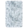 thumbnail image 1 of SAFAVIEH Rainbow Jaki Abstract Shag Area Rug, Light Gray, 2'3" x 4', 1 of 10