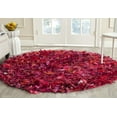 thumbnail image 1 of SAFAVIEH Rio Cassandra Confetti Polyester Shag Area Rug, Fuchsia/Multi, 4' x 4' Round, 1 of 7