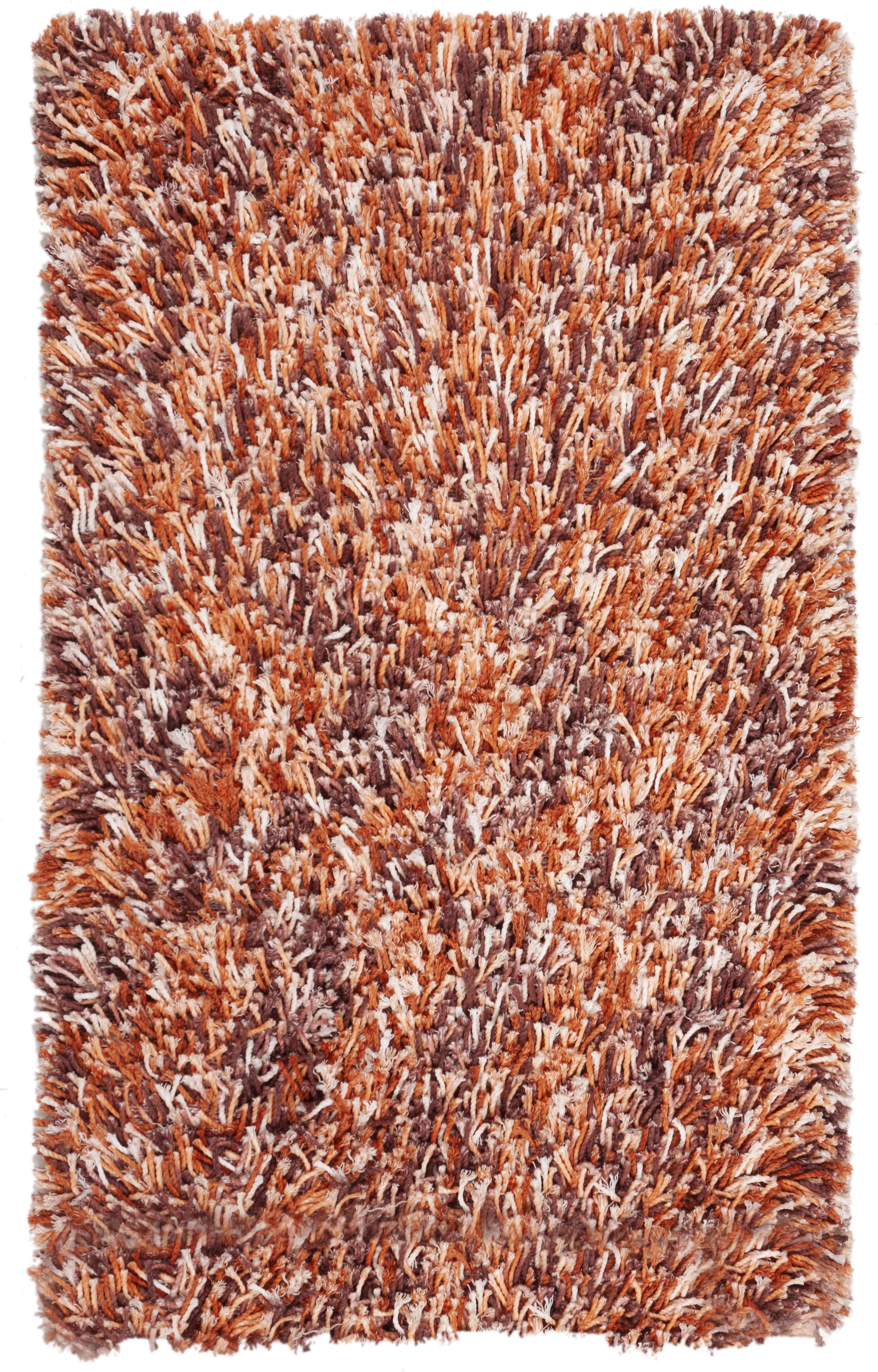 Ivory and Rust Hand-Tufted Shag Rectangular Rug 3' x 5'