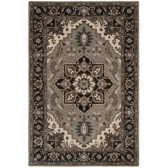 SAFAVIEH Royalty Corine Oriental Area Rug, Silver/Charcoal, 6' x 9'