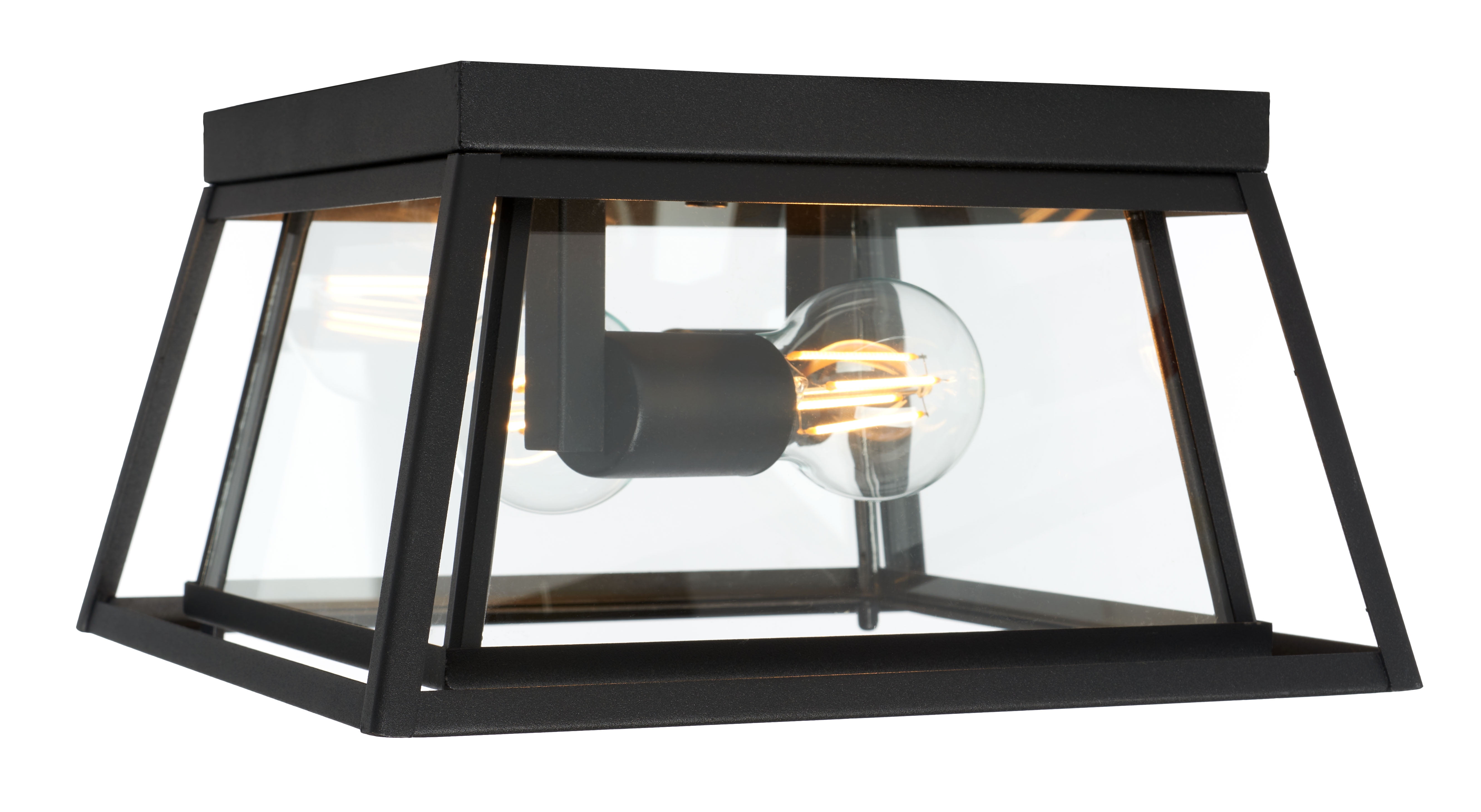 Rydler Black Glass Indoor/Outdoor Flush Mount Light