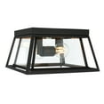 thumbnail image 1 of SAFAVIEH Rydler 11 in. Modern 2-Light Black Steel Mount Light with Clear Shade, 1 of 4
