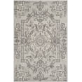 thumbnail image 1 of SAFAVIEH Savonnerie Laverne Bordered Area Rug, Smoke, 4' x 6', 1 of 7