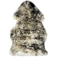 thumbnail image 1 of SAFAVIEH Sheep Skin SHS121G Ivory / Dark Charcoal Rug, 1 of 5