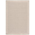 thumbnail image 1 of SAFAVIEH Sisal Performance Arthur Solid Indoor/Outdoor Area Rug, Beige/Natural, 8' x 10', 1 of 16