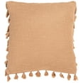 thumbnail image 1 of SAFAVIEH Skyla Solid With Tassel Accent Pillow, 18" x 18", Pink, 1 of 3