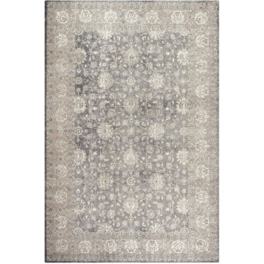 SAFAVIEH Sofia Derrick Traditional Area Rug, Light Grey/Beige, 4' x 5'7"