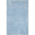 thumbnail image 1 of SAFAVIEH Supreme Charlton Solid Plush Polyester Shag Area Rug, Light Blue, 4' x 6', 1 of 5