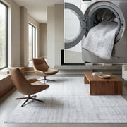 SAFAVIEH Tacoma Nelson Traditional Machine Washable Area Rug, Light Grey/Grey, 5' x 8'
