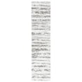 thumbnail image 1 of SAFAVIEH Tahoe Tyson Striped Shag Runner Rug, Ivory/Dark Gray, 2' x 8', 1 of 7