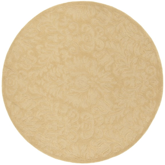 SAFAVIEH Total Performance TLP714C Hand-hooked Beige Rug