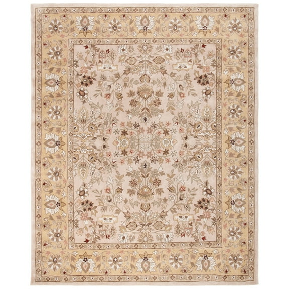 SAFAVIEH Total Performance TLP721A Ivory / Gold Rug