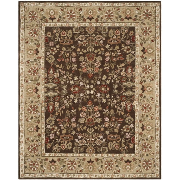 SAFAVIEH Total Performance TLP721C Brown / Green Rug