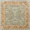 thumbnail image 1 of SAFAVIEH Total Performance TLP722A Sage / Copper Rug, 1 of 3