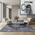thumbnail image 1 of SAFAVIEH Tucson Donovan Oriental Machine Washable Area Rug, Black/Grey, 2'6" x 4', 1 of 14