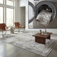 thumbnail image 1 of SAFAVIEH Tucson Jayla Oriental Machine Washable Area Rug, Beige/Gray, 9' x 9' Square, 1 of 16
