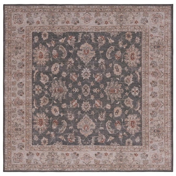 SAFAVIEH Tucson Leah Traditional Machine Washable Area Rug, 6' x 6' Square, Dark Grey/Beige