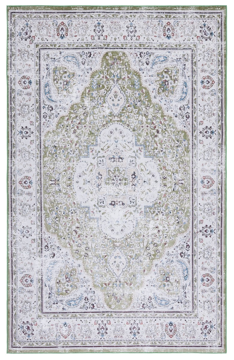 Tucson Green and Beige 4' x 6' Synthetic Area Rug