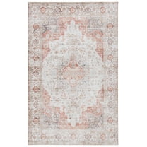 SAFAVIEH Tucson Nazca Traditional Machine Washable Area Rug, 5' x 8', Light Grey/Rust