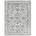thumbnail image 1 of SAFAVIEH Tulum Bevis Oriental Area Rug, Ivory Grey/Charcoal, 9' x 12', 1 of 8