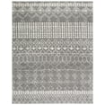 thumbnail image 1 of SAFAVIEH Tulum Coriander Oriental Area Rug, Grey/Ivory, 8' x 10', 1 of 10