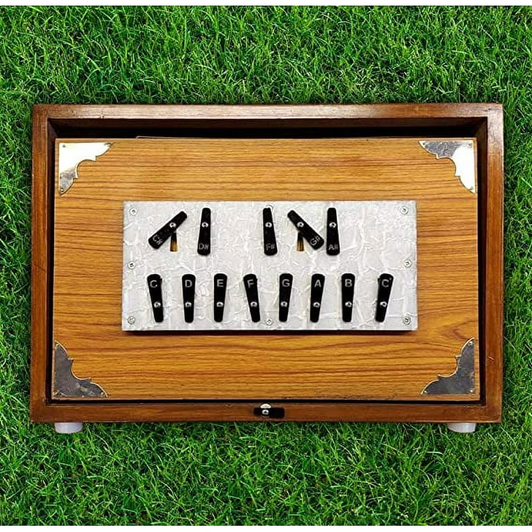 Surpeti musical instrument 2025